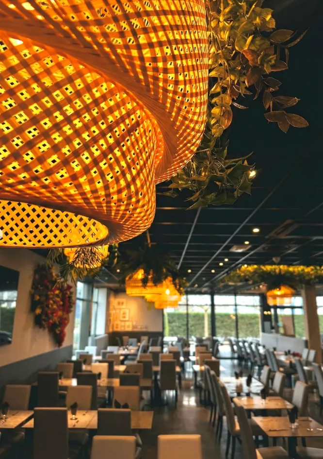 Lustres en osier et plantes suspendues